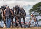 ploughing-national championship-0059