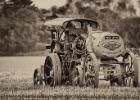 ploughing-national championship-0136