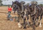 ploughing-national championship-0157