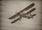 sunderland-swordfish-0139-toned