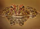 MG 2010  ornate horned frog