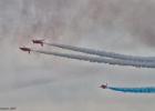 RAW 0037-red arrows