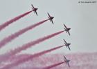 RAW 0310-red arrows