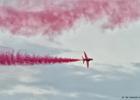 RAW 0369-red arrows