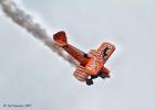 RAW 0529-wing walker