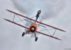 RAW 0558-wing walker