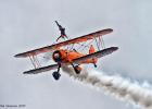 RAW 0577-wing walker