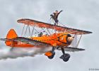 RAW 0602-wing walker