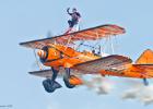 0446-sunderland-wing walkers